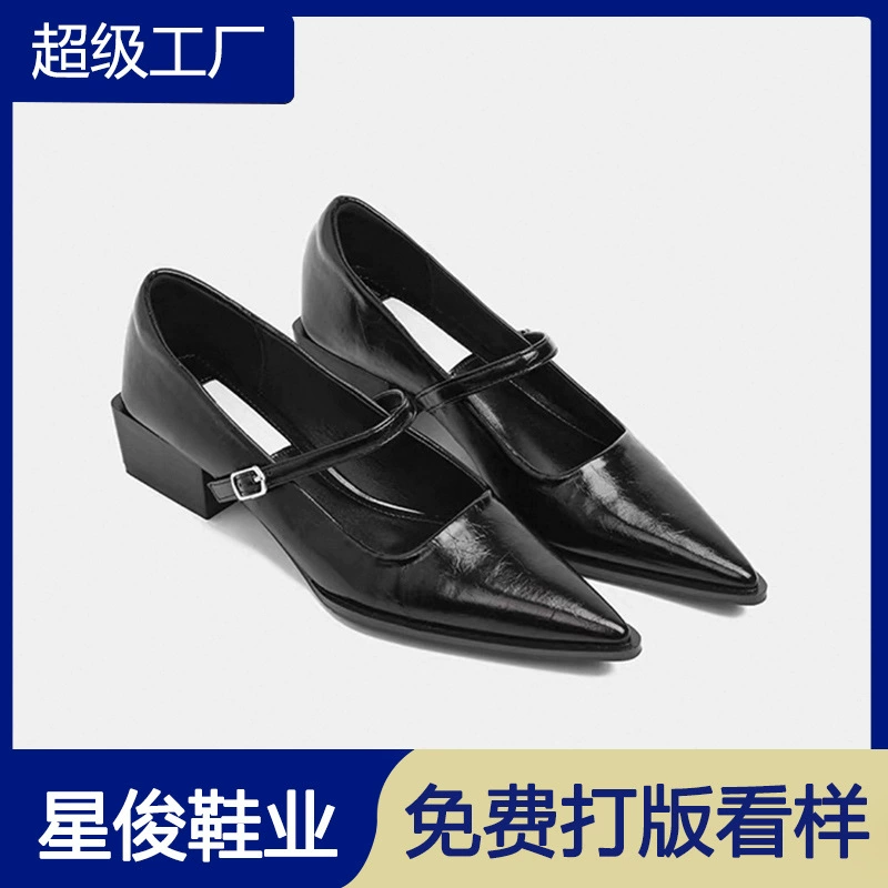 Französisch Spitze Zehe Schnalle Mary Jane Schuhe für Damen 2026 Frühling Retro Weichleder Chunky Heel Ballett Flats · MOHE China shoe factory