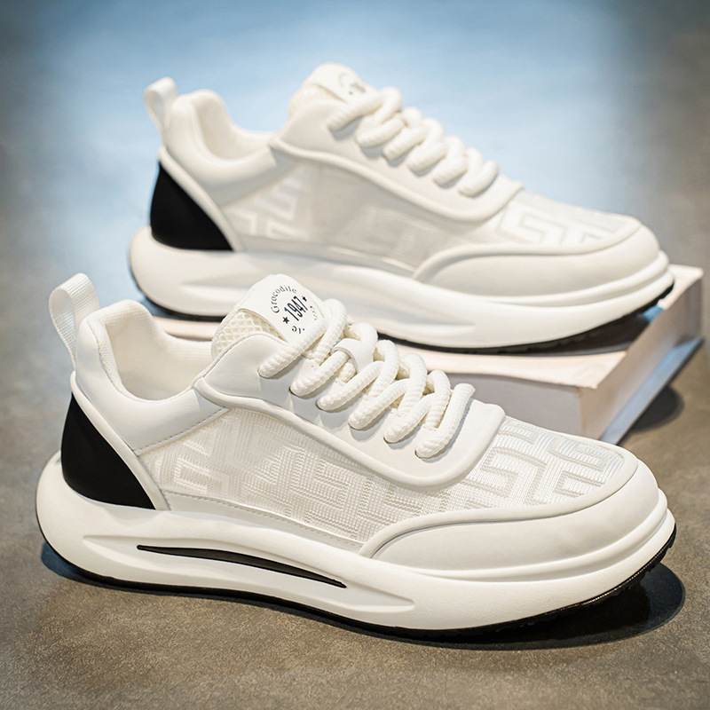 Men's Breathable Mesh Skate Shoes · YANYAN China shoe factory