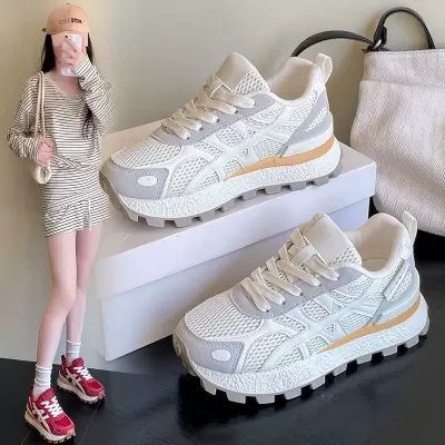 Women's Breathable Mesh Sneakers Spring, Korean Thick Sole Height Increase Chunky · YANYAN China shoe factory