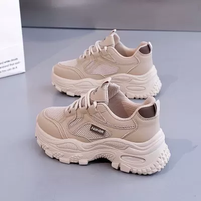 Women's Breathable Mesh Sneakers Summer, Korean Thick Sole Height Increase Soft · YANYAN China shoe factory