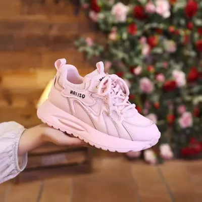 Summer Women's Breathable Mesh Sneakers, Korean Style Thick Sole Soft Sole Casual Dad Shoes · YANYAN China shoe factory