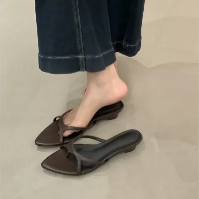 French Chunky Heel Pointed Toe Slide Sandals Women Summer 2026 New Dressy