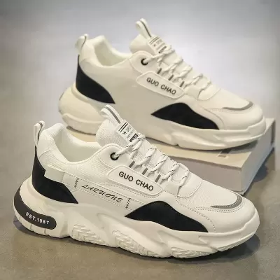 2026 New Summer Mesh Breathable Men's Sports Thick Sole Heightening Dad Shoes · YANYAN China shoe factory
