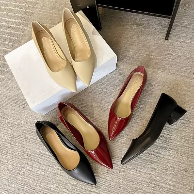 New Spring Pointed Toe Low Heel Dress Shoes for Women Office · YANYAN China shoe factory