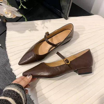 Buckle Pointed Toe French Mary Jane Low Heel Ballet Flat Shoes