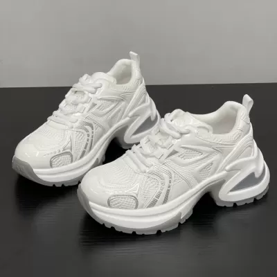 European New Paris Thick Sole Breathable Heightened Dad Shoes Women 2025 Spring Summer Mesh Casual Sports Shoes · YANYAN China shoe factory