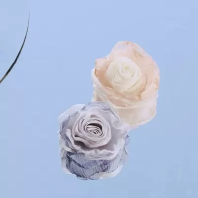 2025 Spring Summer New DIY Woven Velvet Fireworks Shoe Flower Buckle Shoe Flower Decoration · YANYAN China shoe factory