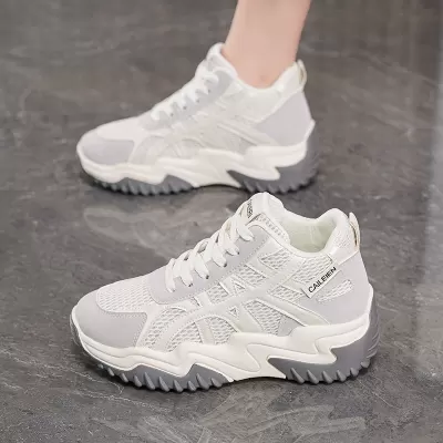 Women's Chunky Sneakers 2025 Fall Breathable Mesh Thick Sole Korean Casual Shoes