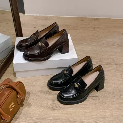 New Loafers for Women Spring Autumn 2026, British Style Chunky Heel, Thick Sole, Coin Shoes